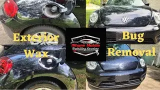 Meguiars Iron Remover | Satisfying Carpet Extraction | Auto Detailing