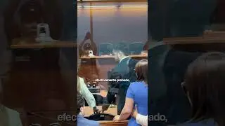 Comunicaci&oacute;n de veredicto en causa contra excarabinero acusado como autor de apremios ileg&iacute;timos