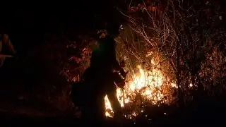 RAW VIDEO: Tiger Creek wildfire
