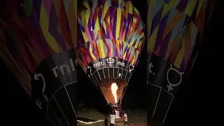 Viva! Festival 2023