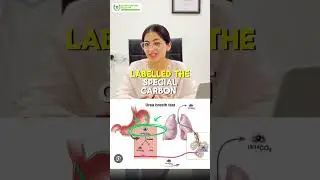 🧪 How Does the Urea Breath Test Detect H. Pylori?