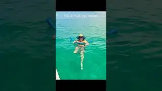 🌴 Key West Sandbar Adventure | Dolphins, Clear Waters & No Crowds 🐬☀️ #keywestsandbar