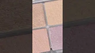 ColourPop Might as Shell Cheek Quad Review & Swatches