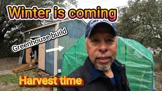 Greenhouse build and Harvest before the winter season.