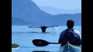 Anacortes Kayak Tours / San Juan Islands Sea Kayaking