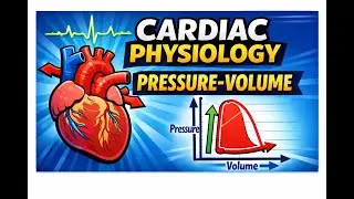 High Yield USMLE STEP 1: Cardiac Physiology