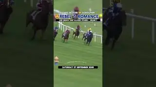 🥷🌹REBEL'S ROMANCE - EASILY Wins The Grade 1️⃣ Joe Hirsch Turf Classic Stakes🏆