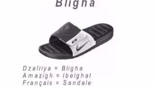 Mots Algérien D'origine Amazigh
