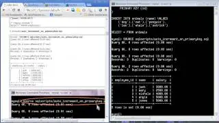 MySQL Basics 2 (Topic #2: MySQL course from JPassion.com)