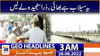 Geo News Headlines 3 AM | Floods in Pakistan | 28th August 2022