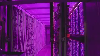 ComEd gives glimpse into shipping container pods aimed at improving urban farming