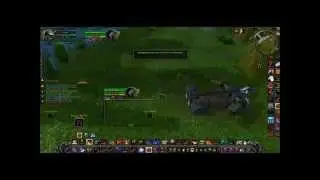 best warrior EU dueling feral druid