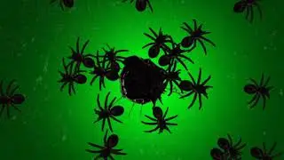 spooky spider green screen 🕷️ spider green screen effects 🤩🤩