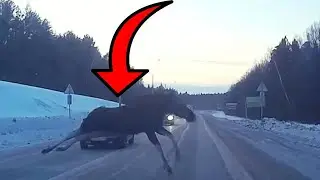 Жесткие ДТП /Слабонервных не смотреть❌