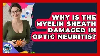 Why Is The Myelin Sheath Damaged In Optic Neuritis? - Eye Health Experts