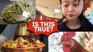 Does it taste like Chicken? Chinese Girl first time eating Bullfrogs