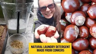 Natural Laundry Detergent Made From Conkers!