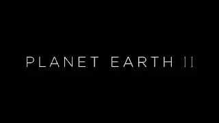 Planet Earth II (2016) Opening 