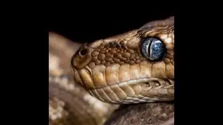 NASA and their deception part 2: Wisdom of God OR Wisdom of this World