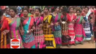 ଆଦିବାସୀ ଜନଜାତି ଲୋକକଳା ୨୦୨୫ @shaksinews
