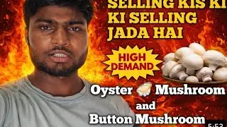 Oyster Mushroom ya Button Mushroom – Kiski Demand Zyada? 💰