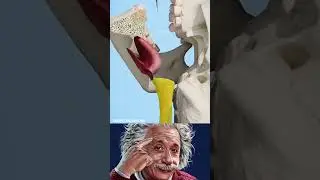 Precision Behind the Illusion