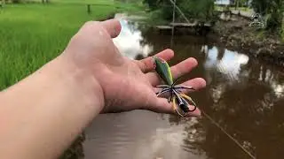 UMPAN GABUS ‼️ Tes Action Lure Handmade