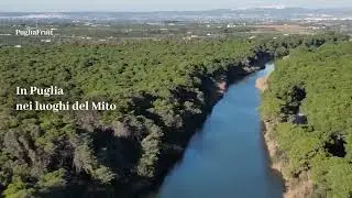 Da un sogno che ha attraversato quattro generazioni nasce Puglia Fruit