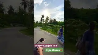 #srilanka #шриланка #adventure #travel #wanderlust #trip #шриланка2023 #ахангама #koggala