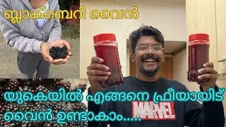 How to make blackberry wine at home |🇬🇧vlog 6 | 2024  #couple #ukvlog