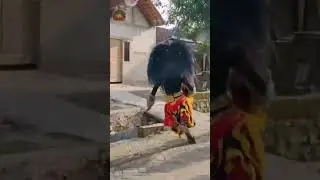 Devil 👹 Catching Kids in the Festival Celebration | #rikiztech
