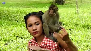 wow! amazing pretty girl meeting funny joking monkeys at bayon temple gate