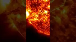 What If the Sun Suddenly Dimmed? 🌑 (You Wouldn't Survive Long)