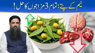 Neem Ke Patte Ke Fayde | Neem Se Teen Units Balance Karen 52 Dr sharafat Ali totka 7 