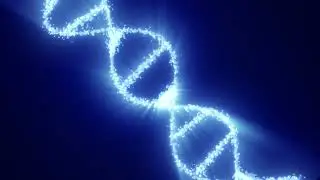 dna structure graphics