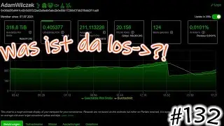 #132 Chia Netzwerk bricht um 50% ein    Plotfilter auf 256