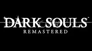 Dark Souls Run...