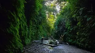 We Finally Make It Out To Fern Canyon!!!