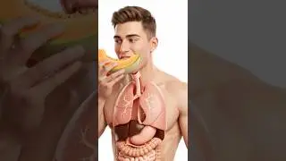 #health #viral #trending #youtubeshorts #trendingshorts