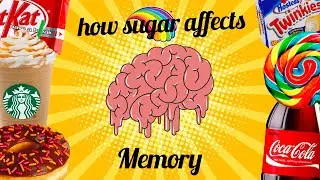 How Childhood Sugar Consumption Affects Your Memory TODAY