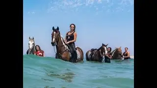 Horse riding in Kos / Erikas Horse Farm