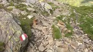MTB SingleTrails -  Original Moments