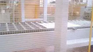 linea incollaggio.mp4