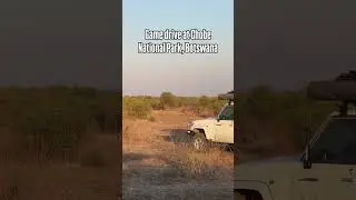 Game drive at Chobe National Park in Botswana