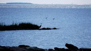 Why We Must Strengthen Environmental Enforcement in Maryland