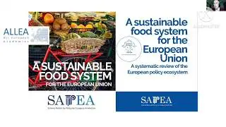 Food policy at a time of crisis: What should the future look like?