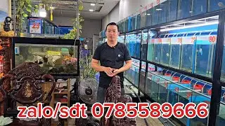 31/1 l&ecirc;n l&ocirc; c&aacute; la h&aacute;n Kamfa F2 gi&aacute; cực mềm cho a e trải nghiệm