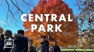 NYC Photography Walk - Central Park