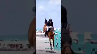 Omg 😆 #horse #animals #showjumpers #crosscountry #eventing #funny #funnyshorts #irl #viralvideo