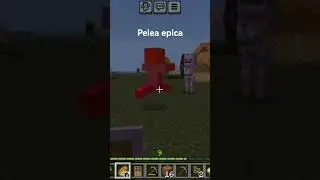 pelea apica